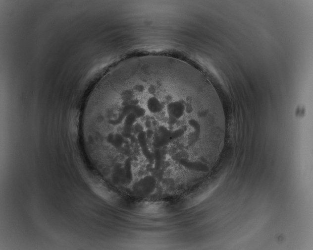 X0000101450495200807071409