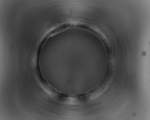X0000101450496200807071409