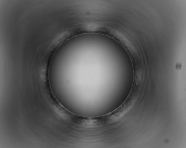 X0000101450497200807071409