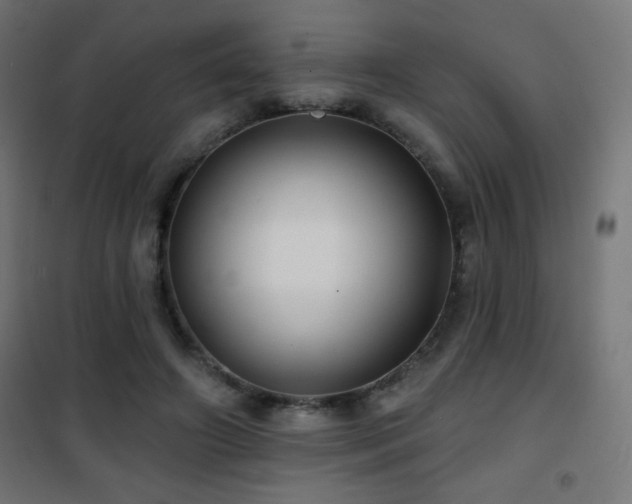 X0000101450498200807071409