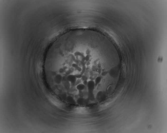 X0000101450499200807071409