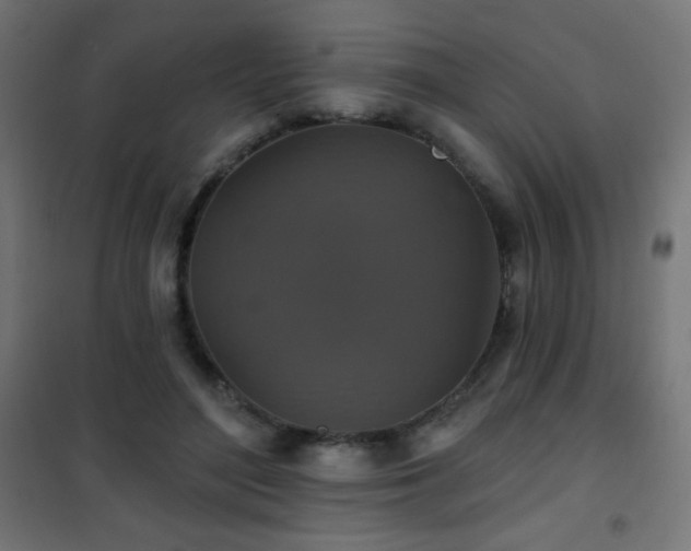X0000101450500200807071409