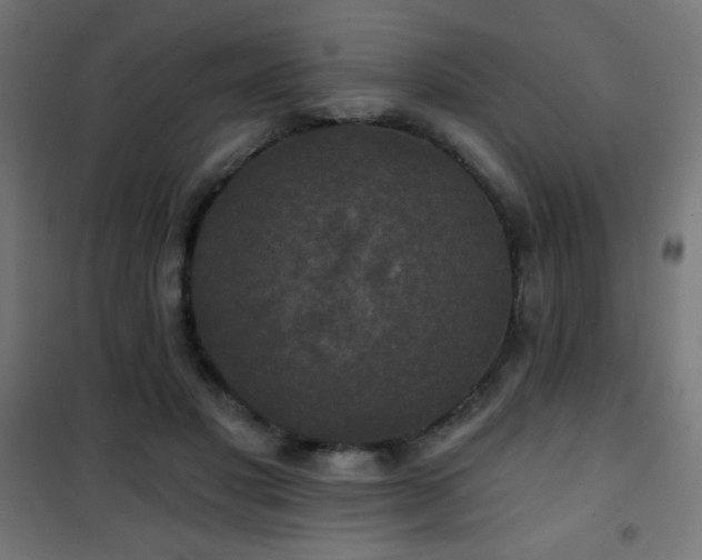 X0000101450501200807071409