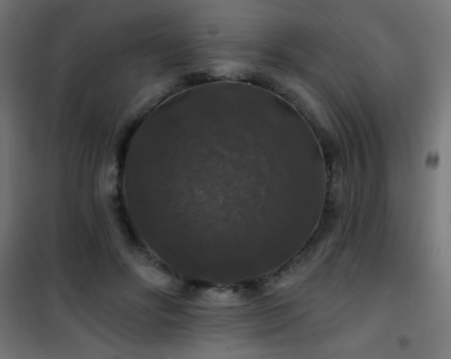 X0000101450502200807071409
