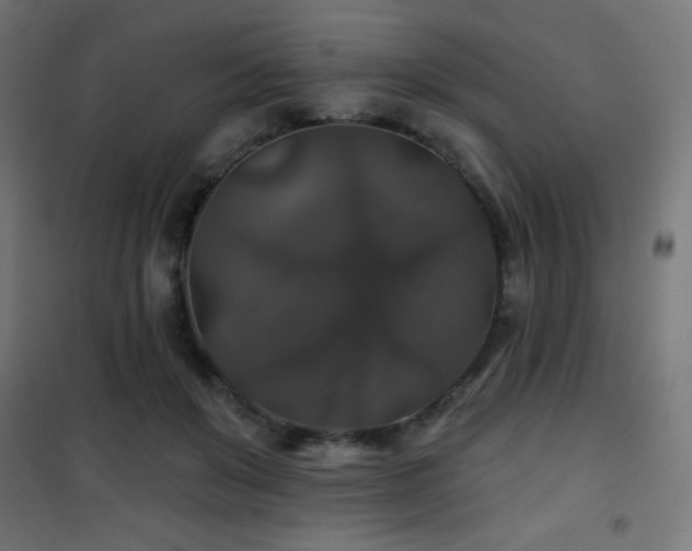 X0000101450503200807071409
