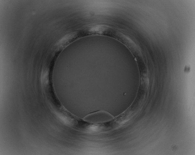 X0000101450504200807071409