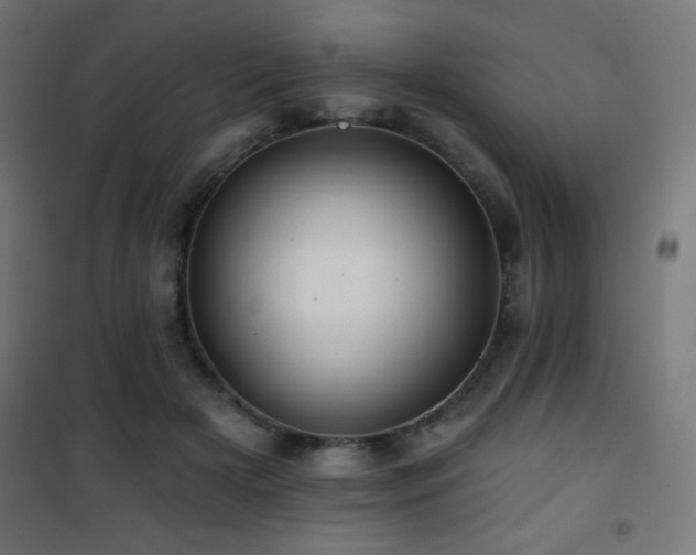 X0000101450505200807071409