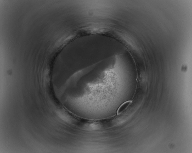 X0000101450506200807071409