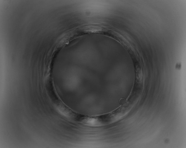 X0000101450507200807071409