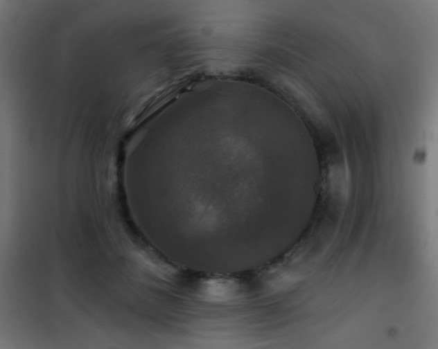 X0000101450508200807071409