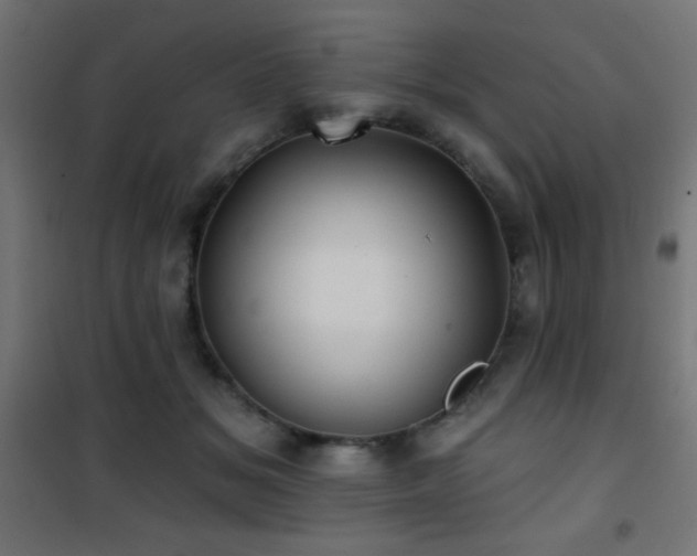 X0000101450509200807071409