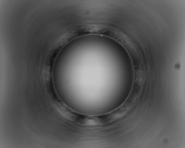 X0000101450510200807071409