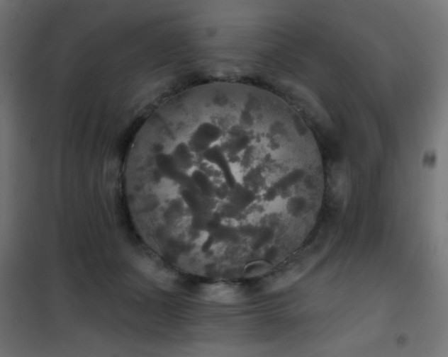 X0000101450511200807071409