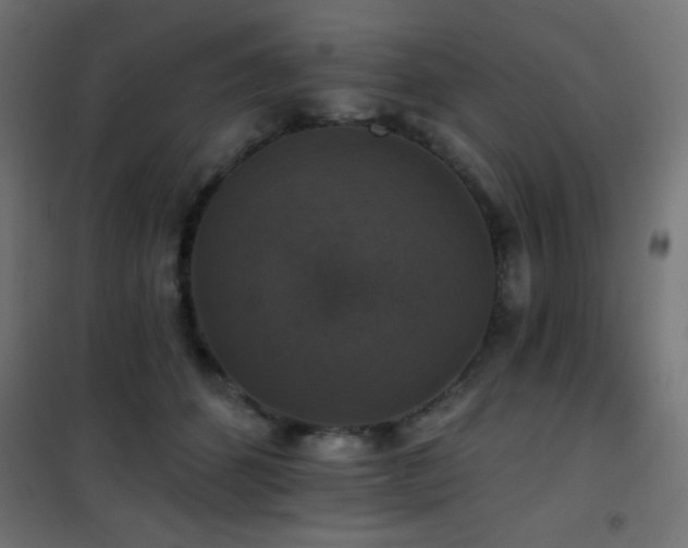 X0000101450512200807071409