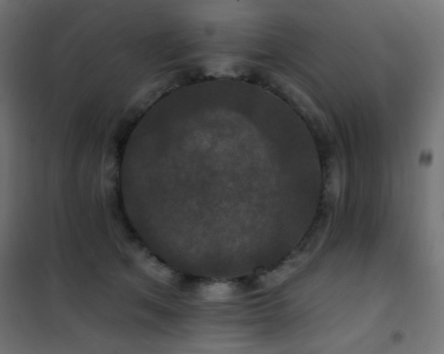 X0000101450513200807071409