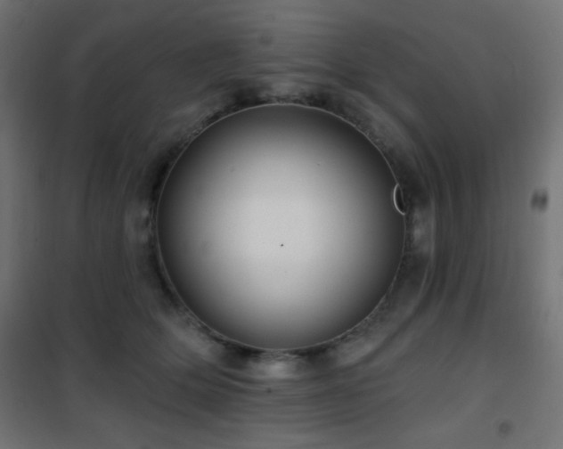 X0000101450514200807071409