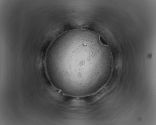 X0000101450515200807071409