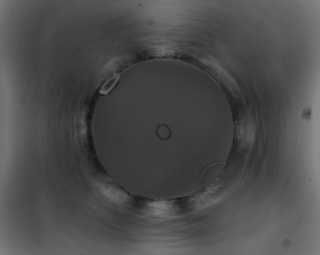 X0000101450516200807071409