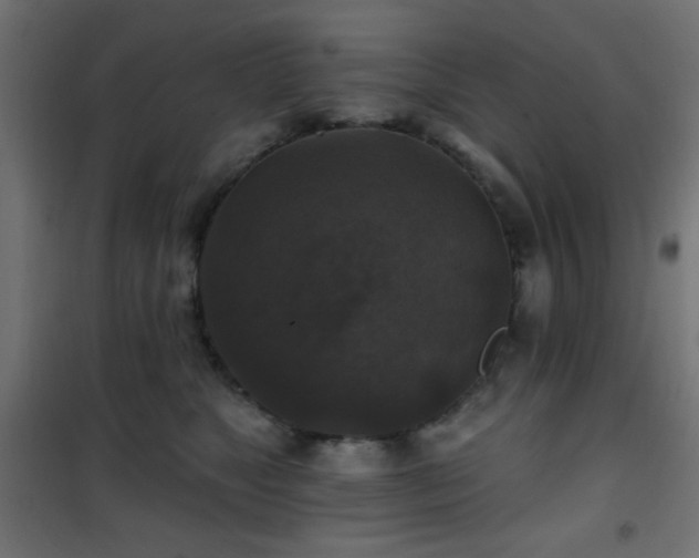 X0000101450517200807071409