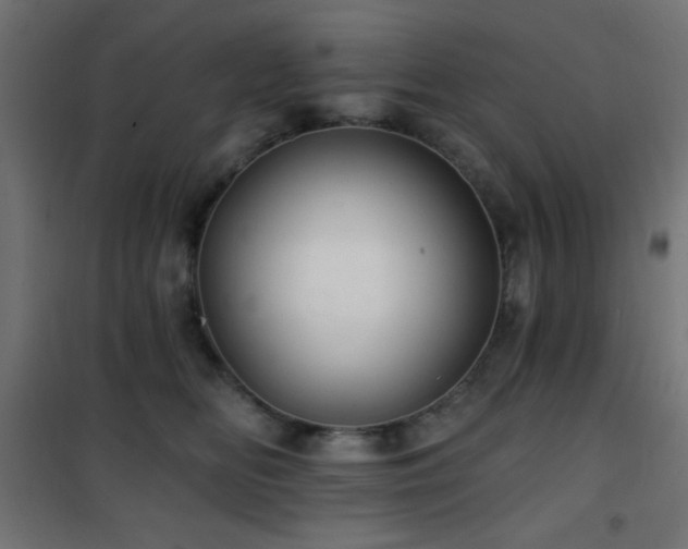 X0000101450518200807071409