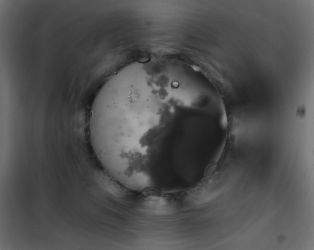 X0000101450519200807071409