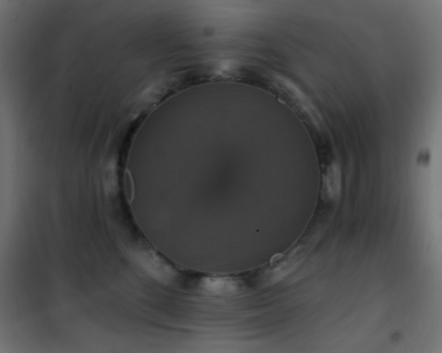 X0000101450520200807071409