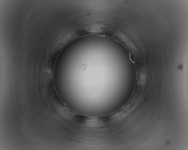 X0000101450521200807071409