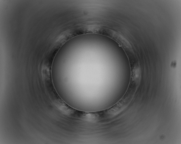 X0000101450522200807071409