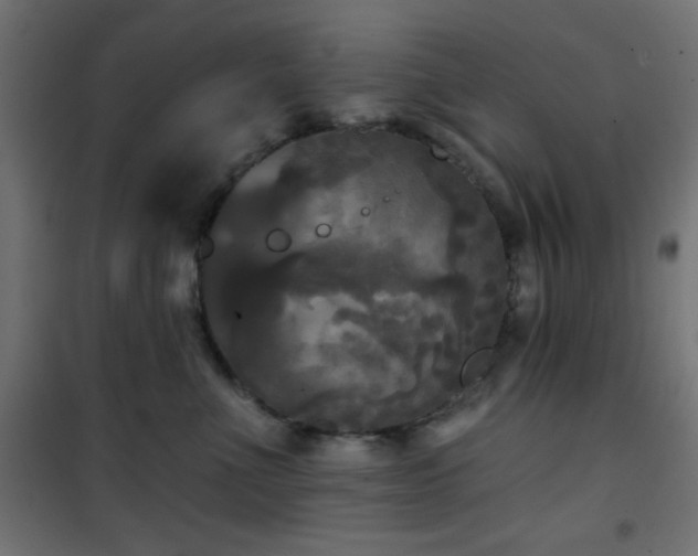 X0000101450523200807071409