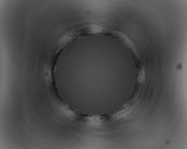 X0000101450524200807071409