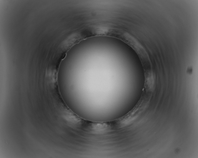 X0000101450525200807071409