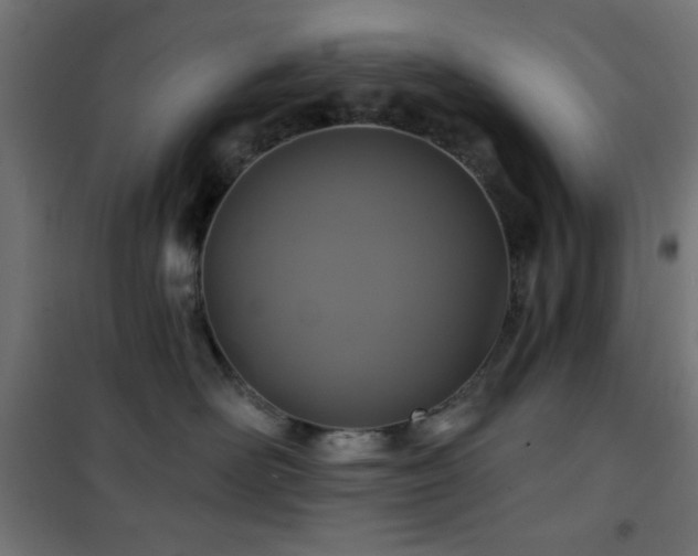 X0000101450526200807071409