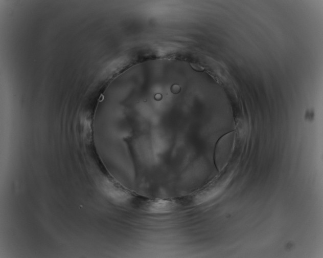 X0000101450527200807071409