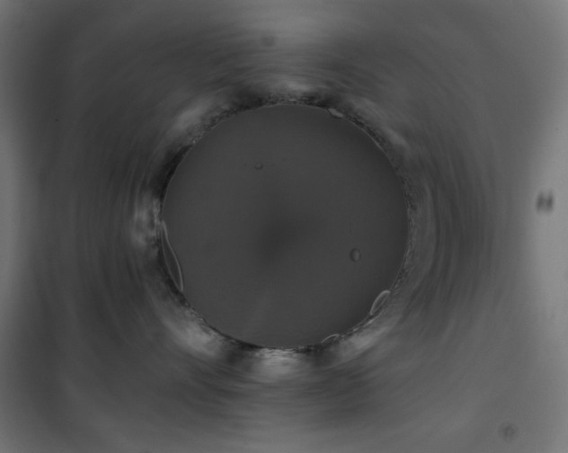 X0000101450528200807071409