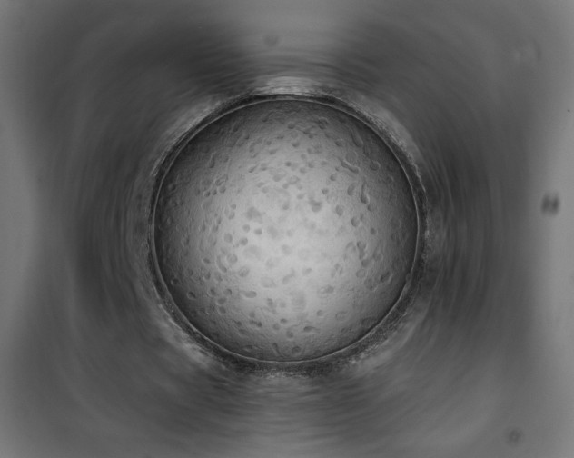 X0000101450529200807071408