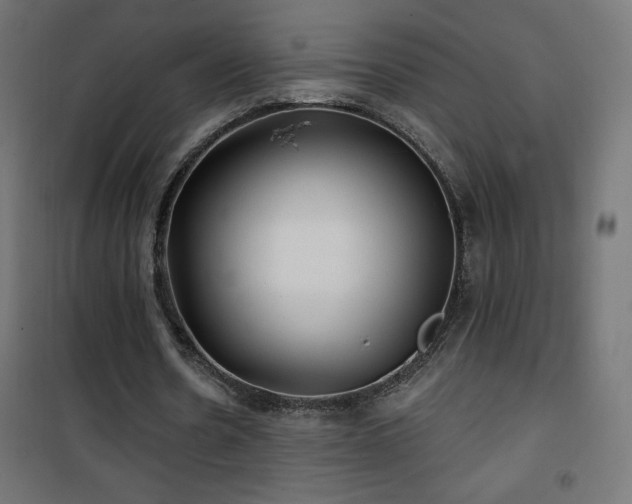X0000101450530200807071408
