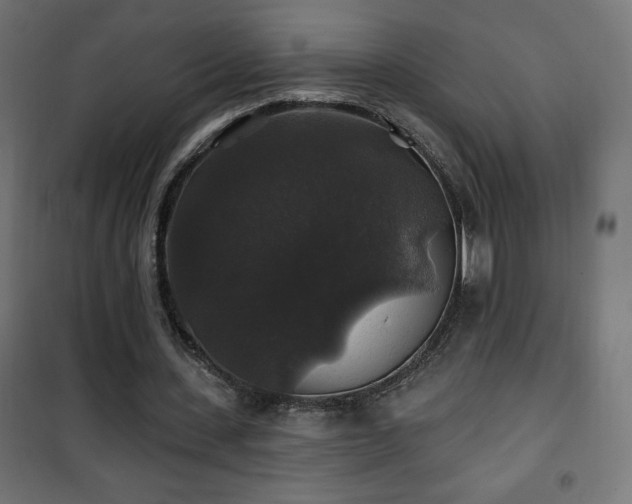 X0000101450531200807071408