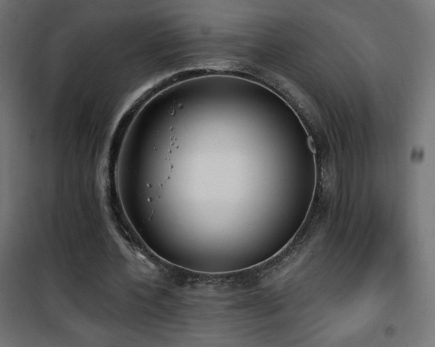 X0000101450532200807071408