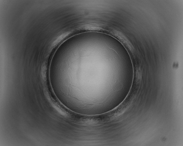 X0000101450533200807071408