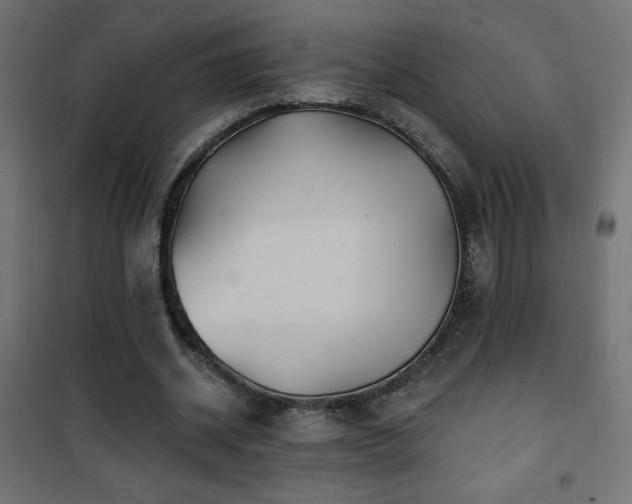 X0000101450534200807071408