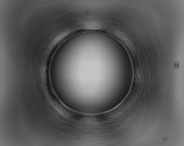 X0000101450535200807071408