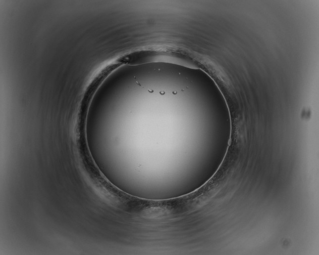 X0000101450536200807071408