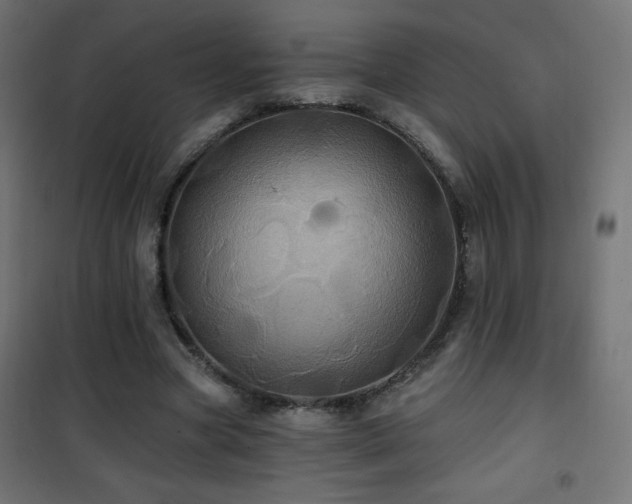 X0000101450537200807071408
