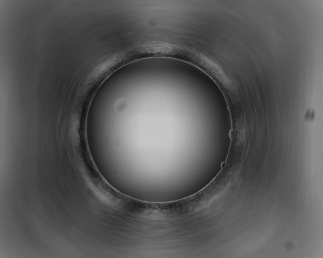 X0000101450538200807071408