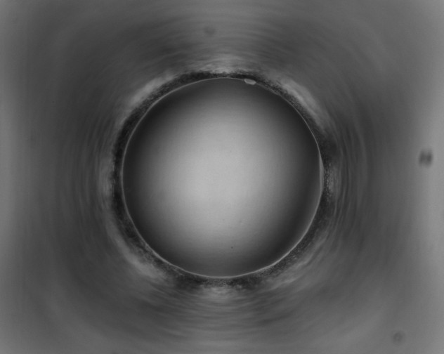 X0000101450540200807071408