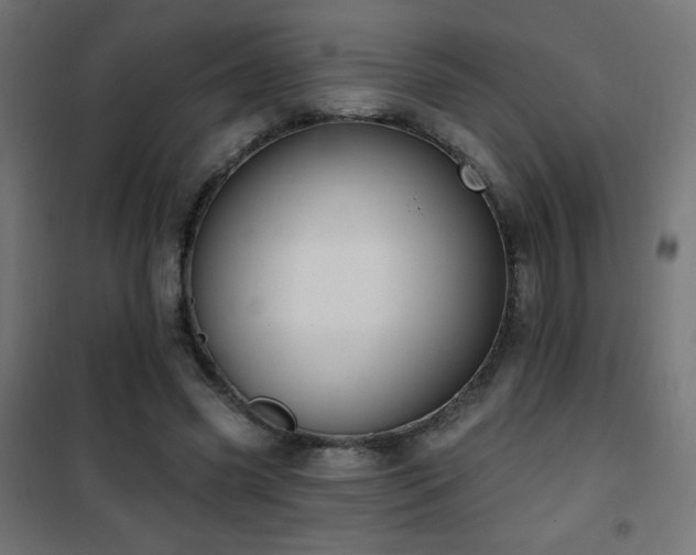 X0000101450541200807071408