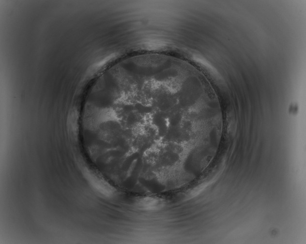 X0000101450542200807071408