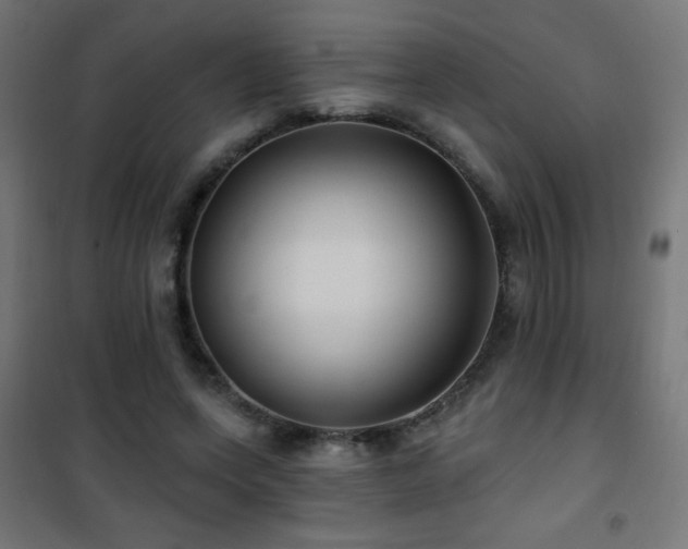 X0000101450543200807071408