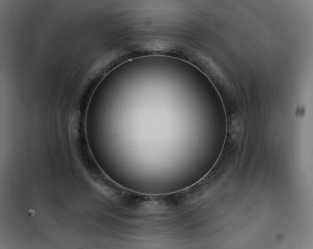X0000101450544200807071408