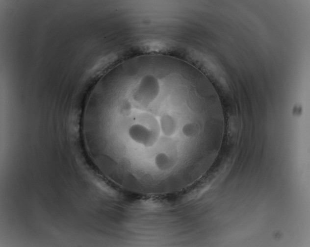 X0000101450545200807071408